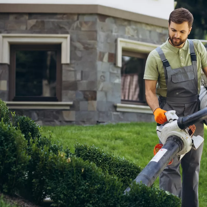 Gardening and Yard Work
